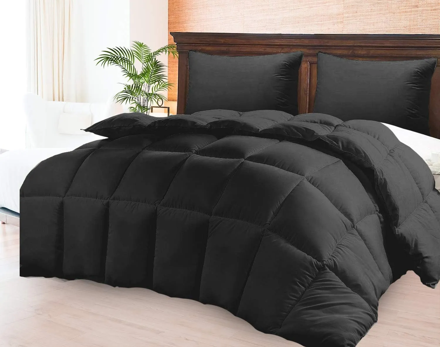 800 TC 100% Egyptian Cotton 300 GSM Goose Down Alternative Microfiber 5 PC Comforter Set (Comforter   Flat   Fitted 15''   2 Pillow Casess) Twin, Black