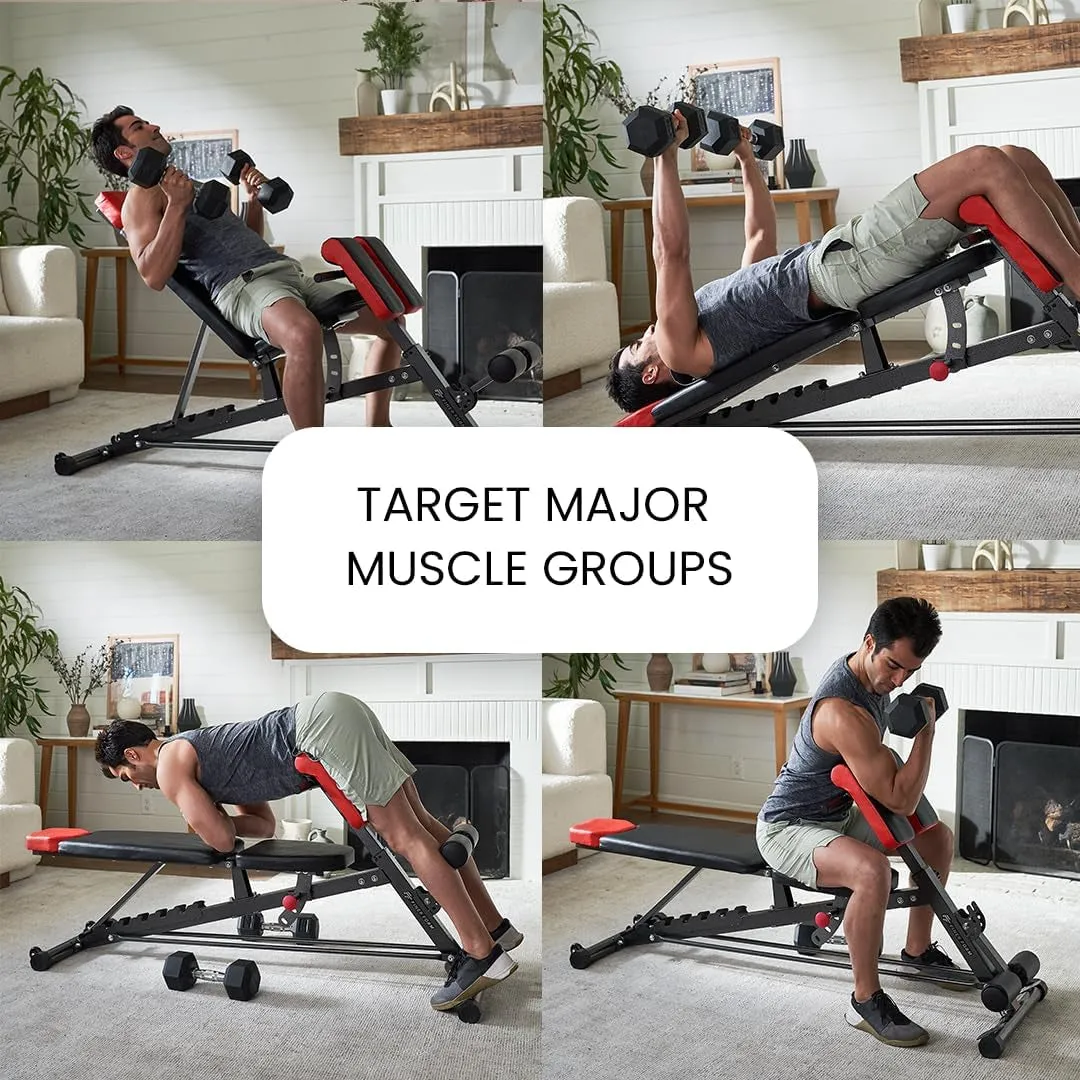 Bench – Full Decline Sit All-In-One for Adjustable Extension, Flat up Body Chair, Multi-Functional Workout Weight Bench, Bench Incline Outstanding value Hyper Back Bench, FID Ab Timely Roman