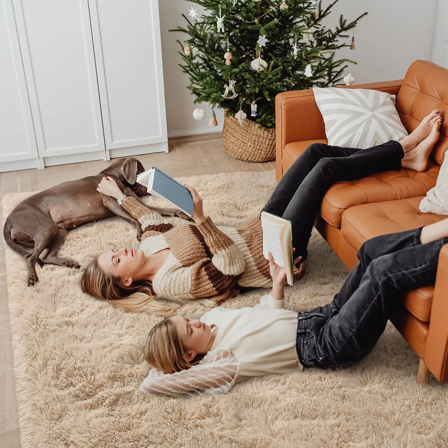 Chicrug Soft Area Rugs for Bedroom Living Room Plush Fluffy Rug 3x5 Feet, Shag Furry Area Rug Carpet Non Shedding for Nursery Children Kids Girls Room Home Decorative, Camel
