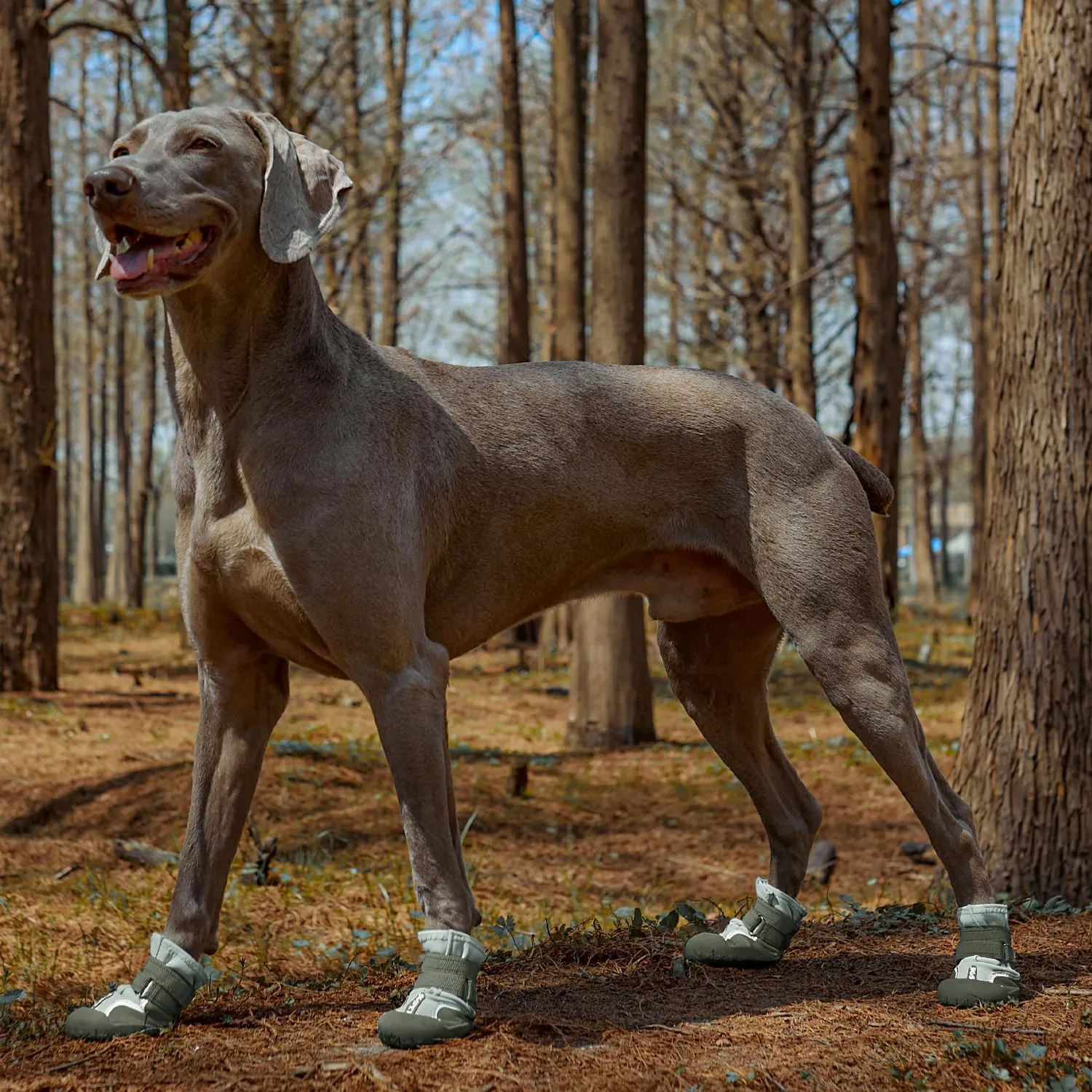 Dog Shoes, Waterproof Dog Booties Paw Protector for Hot Pavement, Snowy Day, Outdoor Walking Skip-Proof Dog Shoes Green 2.4in L