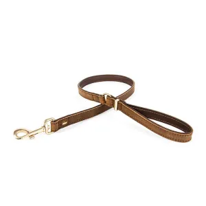 EZYDOG Oxford Leash / Brown