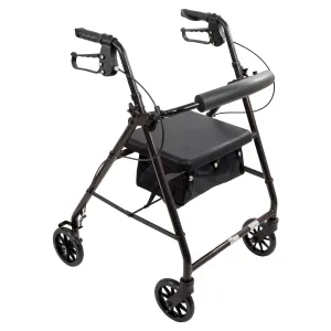 ProBasics Aluminum Rollator with 6-inch Wheels, Padded Seat and Backrest, Height Adjustable Handles, Folds for Storage & Transport, 300 Pound Weight Capacity, Black