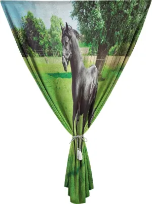 XISUNYA Autohesion Curtains, Horses Window Curtain Panel, Friesian Male Horse Masculine Driving Print Thermal Lnsulated Room Darkening Small Drapes,59W x84L Inch, for Kitchen Bathroom Living Room